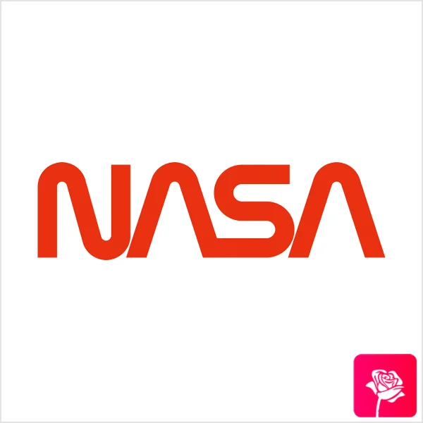 nasa-types-of-logos